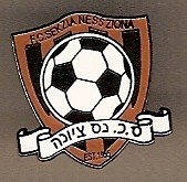 Badge Sektiza Nes Tziona FC